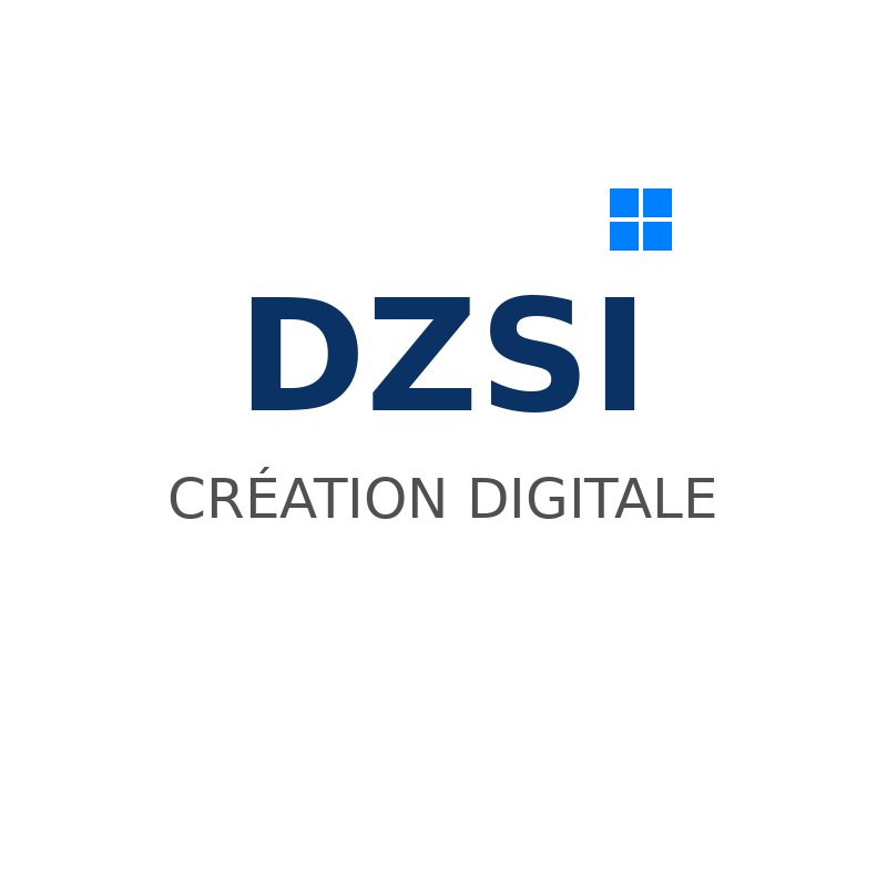 DZSI Logo
